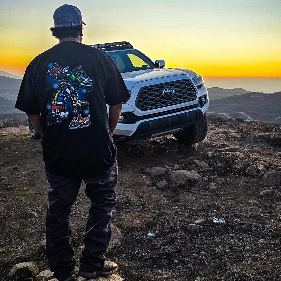 Lowtron Defender of the Trailverse